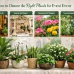 Find best plants for event decoration setup with elegant greenery arrangements.