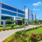 Search commercial landscape design with modern office greenery and outdoor plants